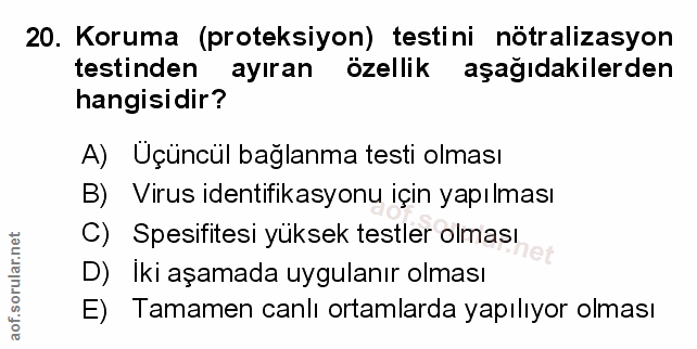 Soru 20