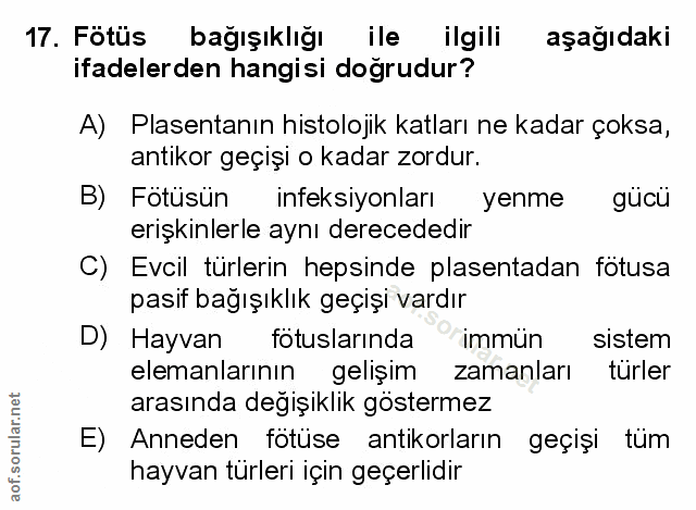 Soru 17