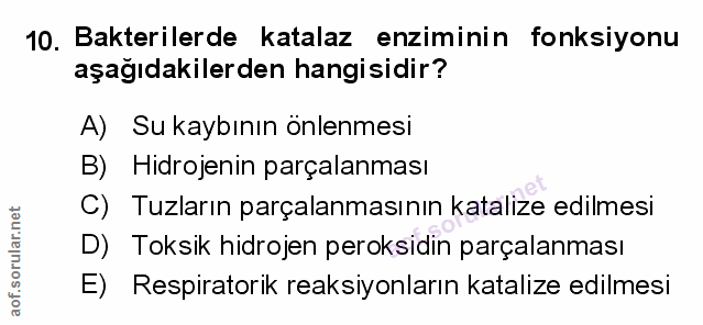 Soru 10