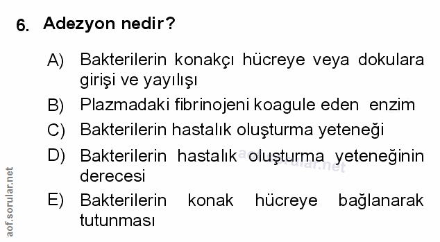 Soru 6