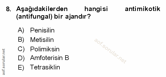 Soru 8