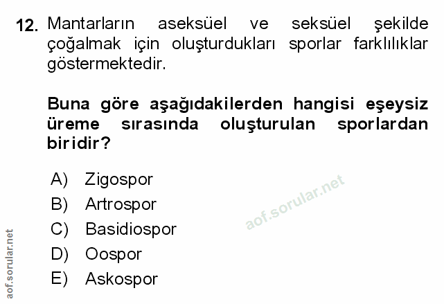 Soru 12