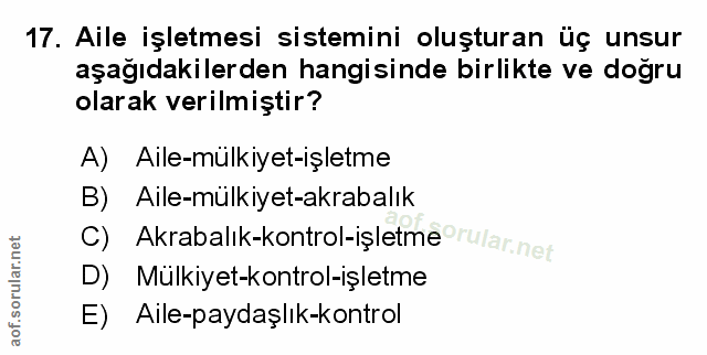 Soru 17