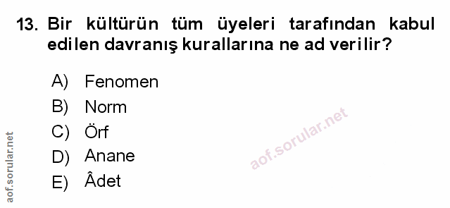 Soru 13