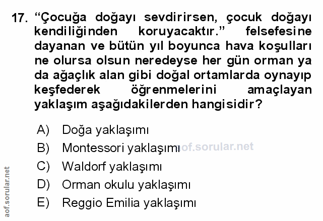 Soru 17