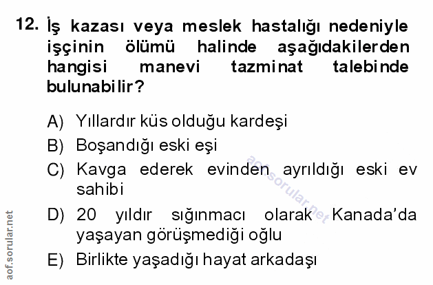 Soru 12