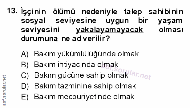 Soru 13