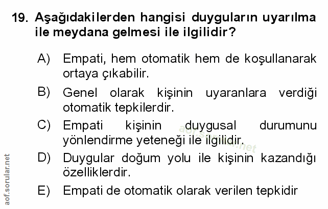 Soru 19
