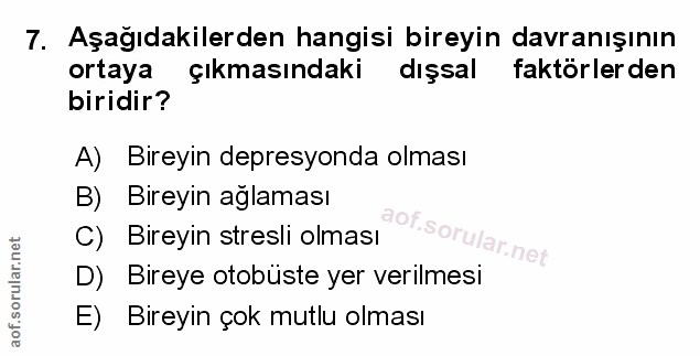Soru 7