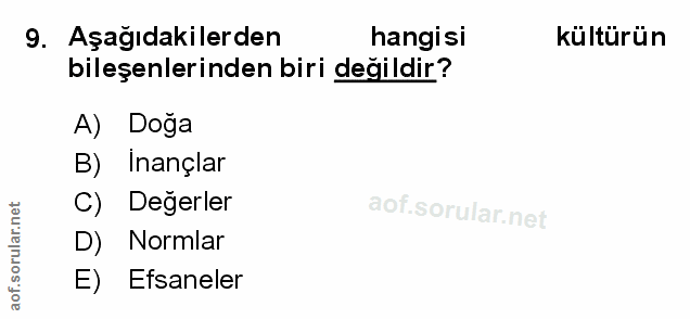Soru 9