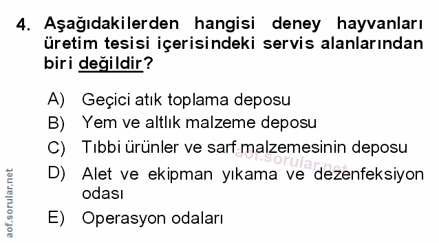 Soru 4
