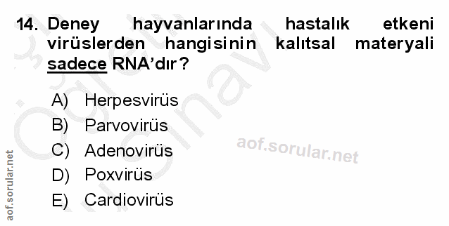 Soru 14