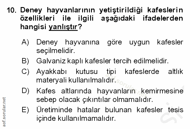 Soru 10