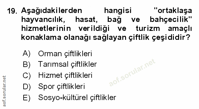 Soru 19