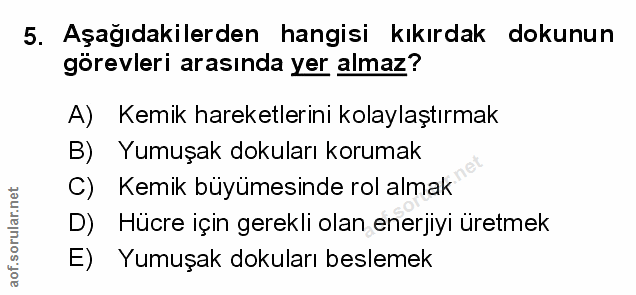 Soru 5