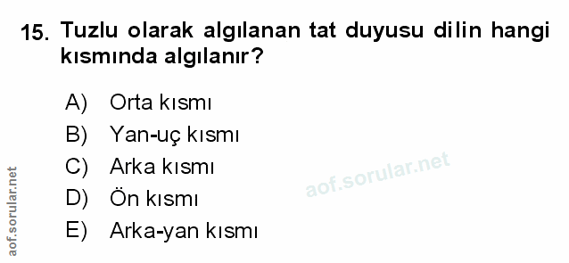Soru 15