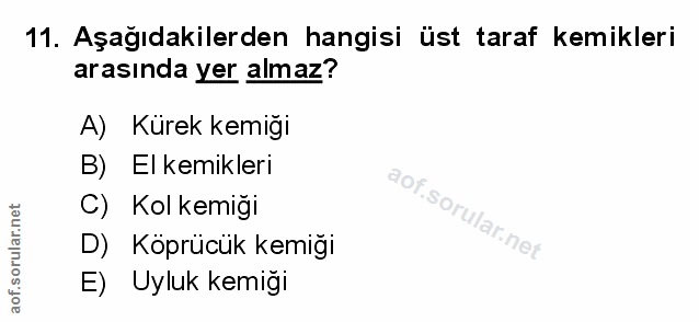 Soru 11