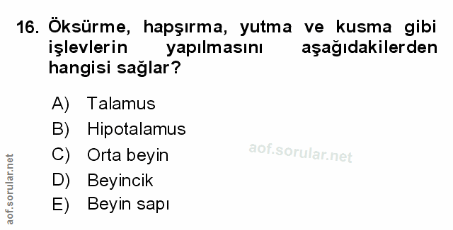 Soru 16