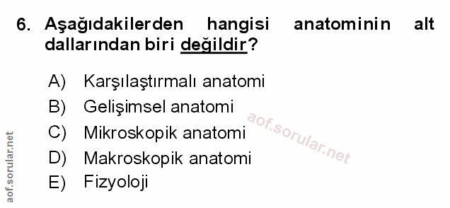 Soru 6