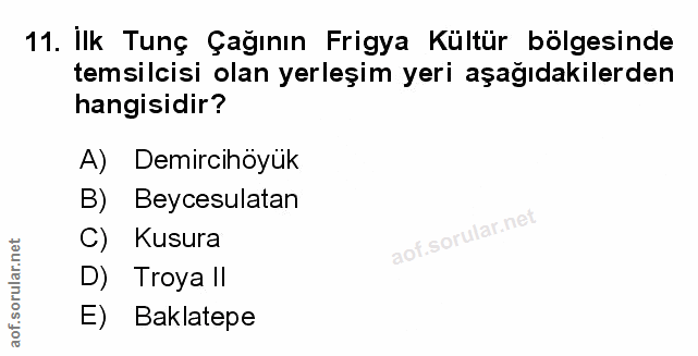 Soru 11