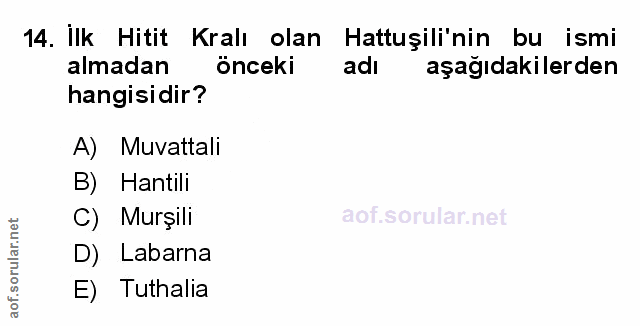 Soru 14