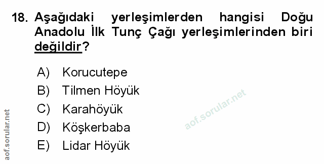 Soru 18