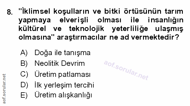 Soru 8