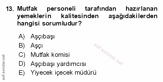 Soru 13
