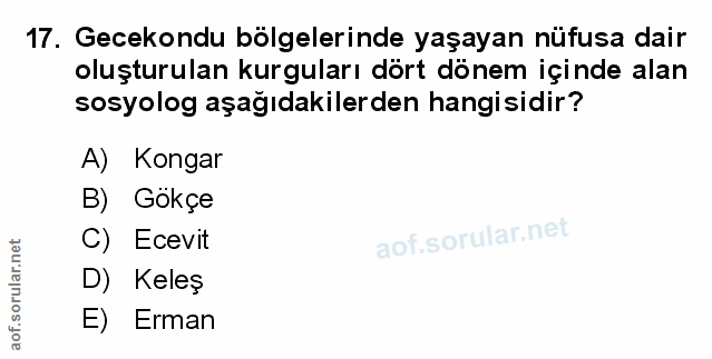 Soru 17