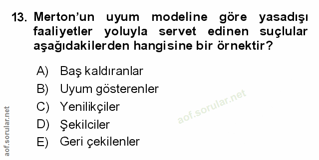Soru 13