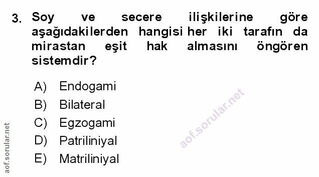 Soru 3