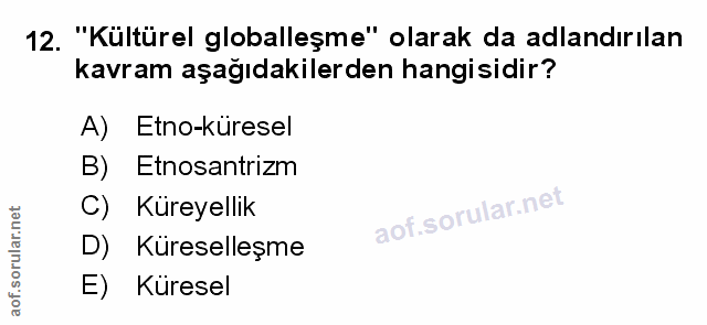 Soru 12