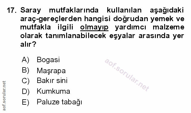 Soru 17
