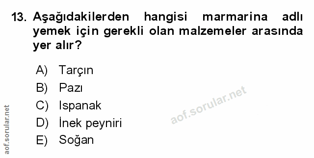 Soru 13