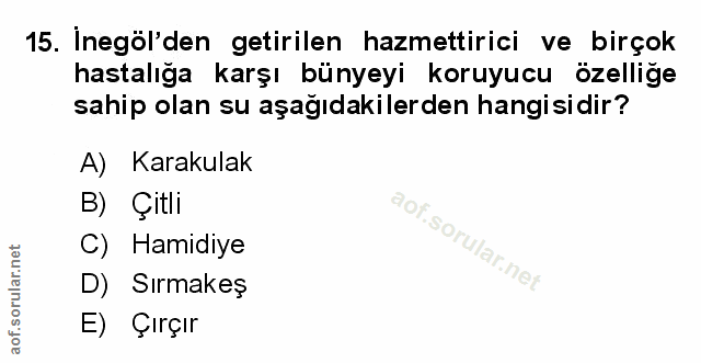 Soru 15
