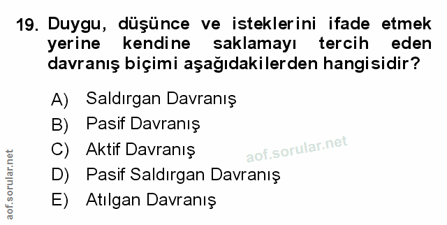 Soru 19