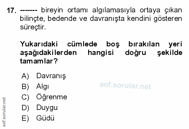 Soru 17