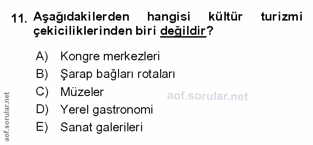 Soru 11