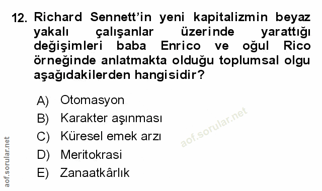 Soru 12