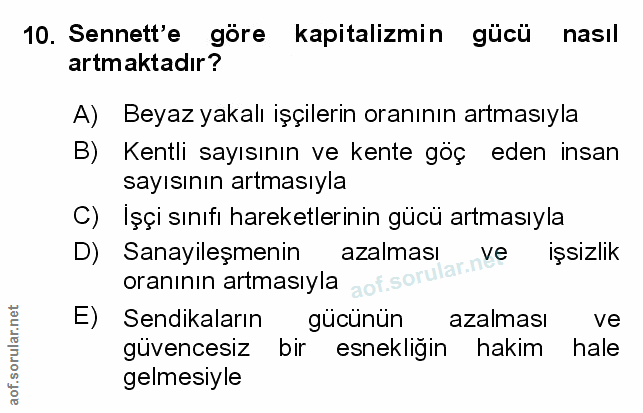 Soru 10