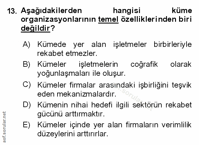 Soru 13