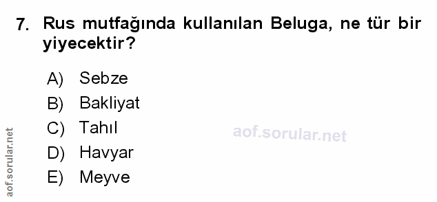 Soru 7