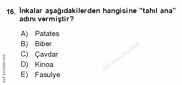 Soru 16