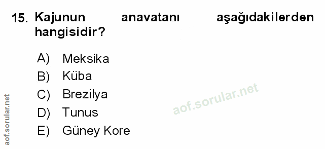 Soru 15