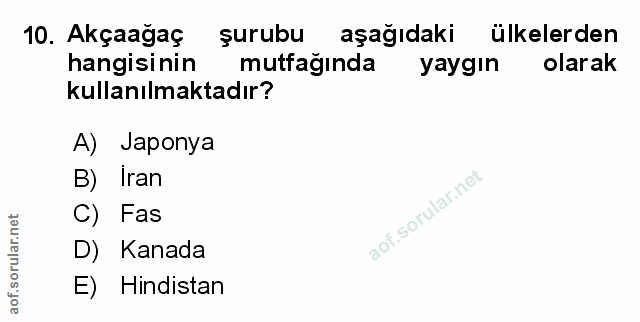 Soru 10
