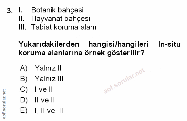 Soru 3