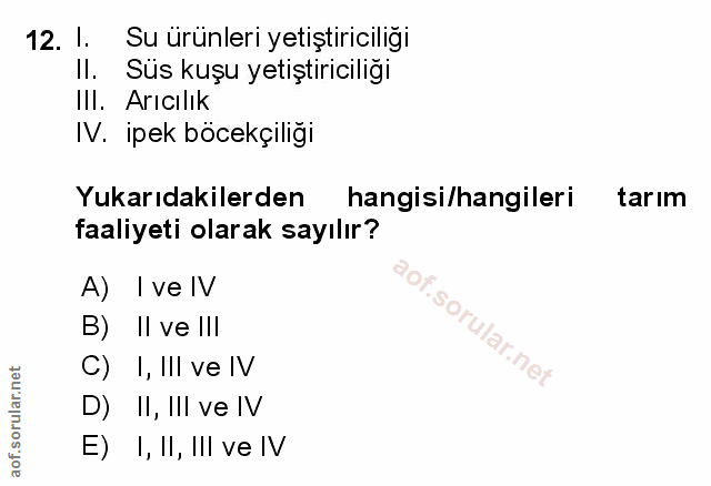 Soru 12