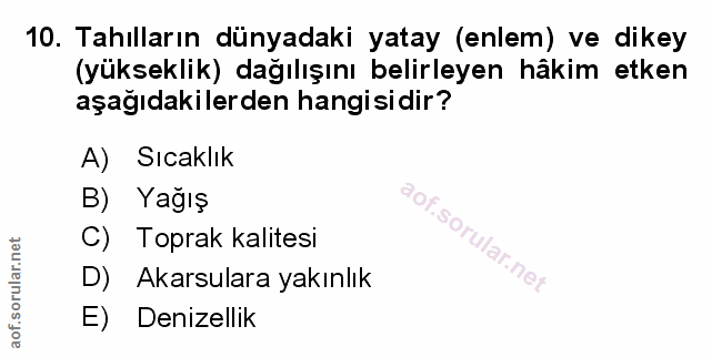 Soru 10