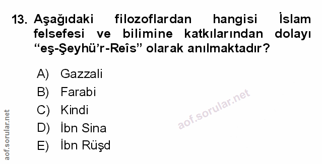 Soru 13