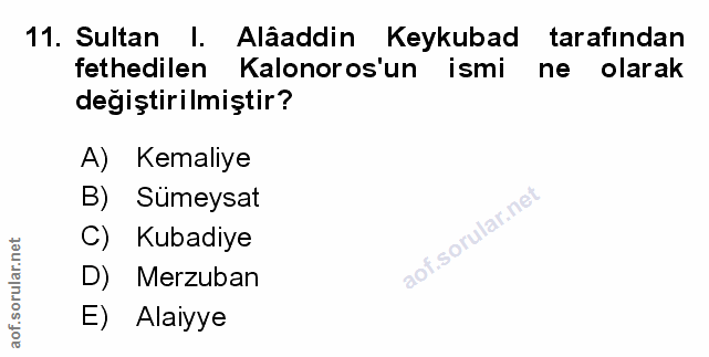 Soru 11